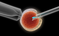 沈阳市私立医院试管包成功是真的吗？业内人士透露真相