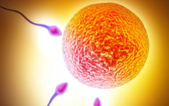 黄石中心医院试管助孕需结婚证吗？单身未婚人群申请条件详解