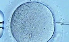 2026山东省济南市三代试管婴儿包成功实操手册：从流程到注意事项全攻