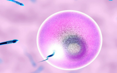 陆军特色医学中心未婚试管成功率真实数据是多少