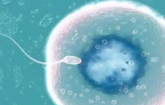 2026年深汕中心医院单身女性做试管婴儿费用明细表一览