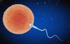 2026年无结婚证在国内做试管婴儿可行吗？湖南妇女儿童医院能做吗？