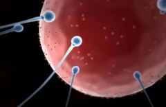 2026山东省济南市三代试管婴儿包成功实操手册：从流程到注意事项