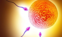 乌克兰私立医院做试管婴儿承诺包成功靠谱吗？是不是夸大宣传？