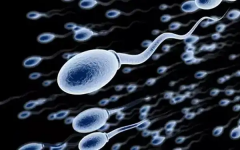 宜昌一医未婚女性试管婴儿成功率怎么样？