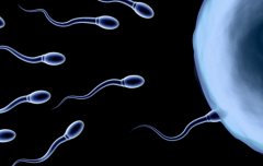 2026年在柬埔寨做三代试管婴儿真的能包成功吗？流程与注意事项全解析