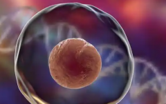 兴义人民医院试管攻略：无结婚证可行吗？费用与成功率一览