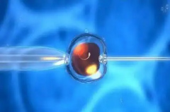 警惕虚假宣传！2026武汉三代试管婴儿包成功？附真实流程