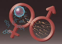 单身人士能在十堰市人民医院做试管婴儿吗？费用与成功率全解析