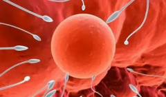 朝阳中心医院试管攻略：无结婚证可行吗？费用与成功率一览