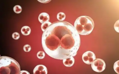 2026年在泰国做三代试管婴儿包成功靠谱吗？流程及注意事项一览