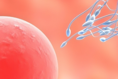 济南私立医院试管婴儿包成功承诺可信吗？业内人士透露真相