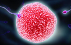 三代试管婴儿不限次数移植？医生提醒需警惕这些风险