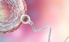 陕西西安试管包成功私立医院可信吗？业内人士揭露真相