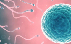 去柬埔寨做第三代试管婴儿能包成功么？