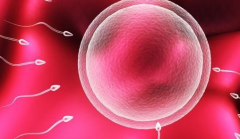 美国私人助孕机构提供的试管包成套餐可靠吗？