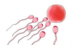 2026年宿迁鼓楼医院未婚试管婴儿费用清单公布！