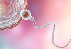 云岩区试管助孕机构哪家强？2026贵阳市私立试管医院榜单揭晓前十强