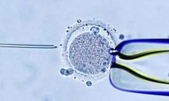 陆军第73集团军医院单身人士试管婴儿成功几率大吗？