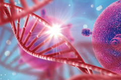 在格鲁吉亚做试管婴儿的私立医院包成功承诺是真的吗？小心被忽悠！