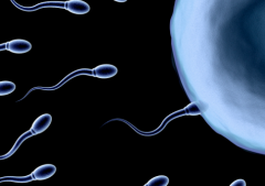 广西桂林924医院单身人士试管婴儿成功几率大吗？