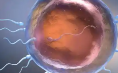 哈尔滨医科大学附属第一医院未婚女性试管婴儿成功率如何