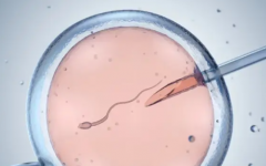 2026年单身人士能不能在潮州市中心医院做试管助孕？步骤全解析！