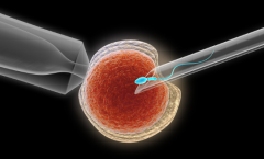 河北省石家庄市试管婴儿包成功套餐真相：私人机构医院宣传高成功率