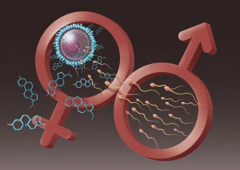 哈萨克斯坦哪些试管婴儿中心敢承诺包成功？实地走访报告