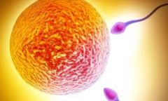 海口市试管包成功真的靠谱吗？2026年费用与成功率全面对比