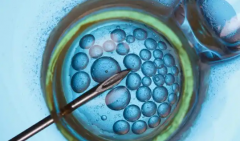 2026年单身人士在中山大学附属第一医院试管婴儿费用价格表全览！