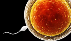 2026山西省太原市私立试管助孕机构精选名单：费用透明