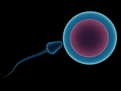 宁波市妇女儿童医院未婚女性试管婴儿成功率怎么样？