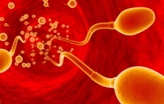 2026年单身做试管婴儿华西二院接受吗？流程一览！