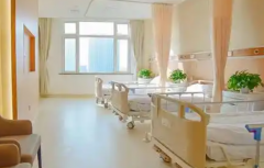 山东省青岛2026助孕机构详解：助孕公司比较好的是哪几家？