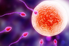 国外试管包成功私立医院靠谱吗？真实案例对比分析