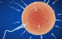 2026年中南大学湘雅医院允许单身人士做试管吗？