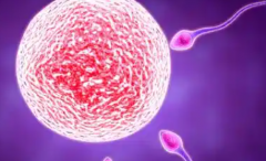 昭通市第一人民医院接受无结婚证试管婴儿申请吗？费用及成功率一览