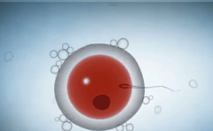 未婚人士可以在临沂中心医院做试管吗？附最新费用与成功率数据