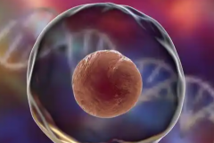 2026年未婚人士如何在江西省做试管？萍乡市妇幼保健院可不可以做？