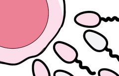 俄罗斯人工助孕的费用通常要多少