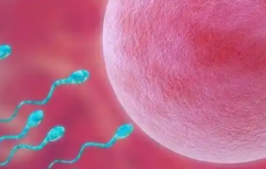 2026在四川绵阳市通过助孕生一个孩子费用是多少？