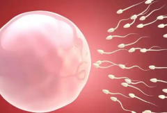 南通妇幼试管助孕需结婚证吗？单身未婚人群申请条件详解