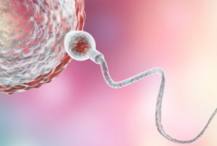 单身人士能在北京大学第一医院做第三代试管婴儿吗？成功率怎么样？