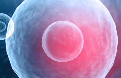 泰国试管包成功服务靠谱吗？私立试管机构包成功套餐可信度高吗？