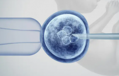 柬埔寨试管婴儿成功率高达80%？助孕中介说法背后真相揭秘