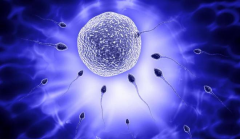 乌克兰三代试管婴儿一次成功率高吗？真实经历分享！