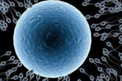 宜兴市人民医院单身人士试管婴儿成功几率大吗？