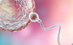 中国试管婴儿包成功医院真实情况如何？