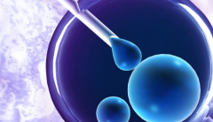 2026年无结婚证在常德妇幼做三代试管的费用高吗？费用详细介绍！